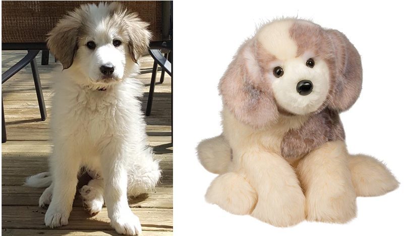Meet River! The inspiration behind DOUGLAS’ Great Pyrenees dog