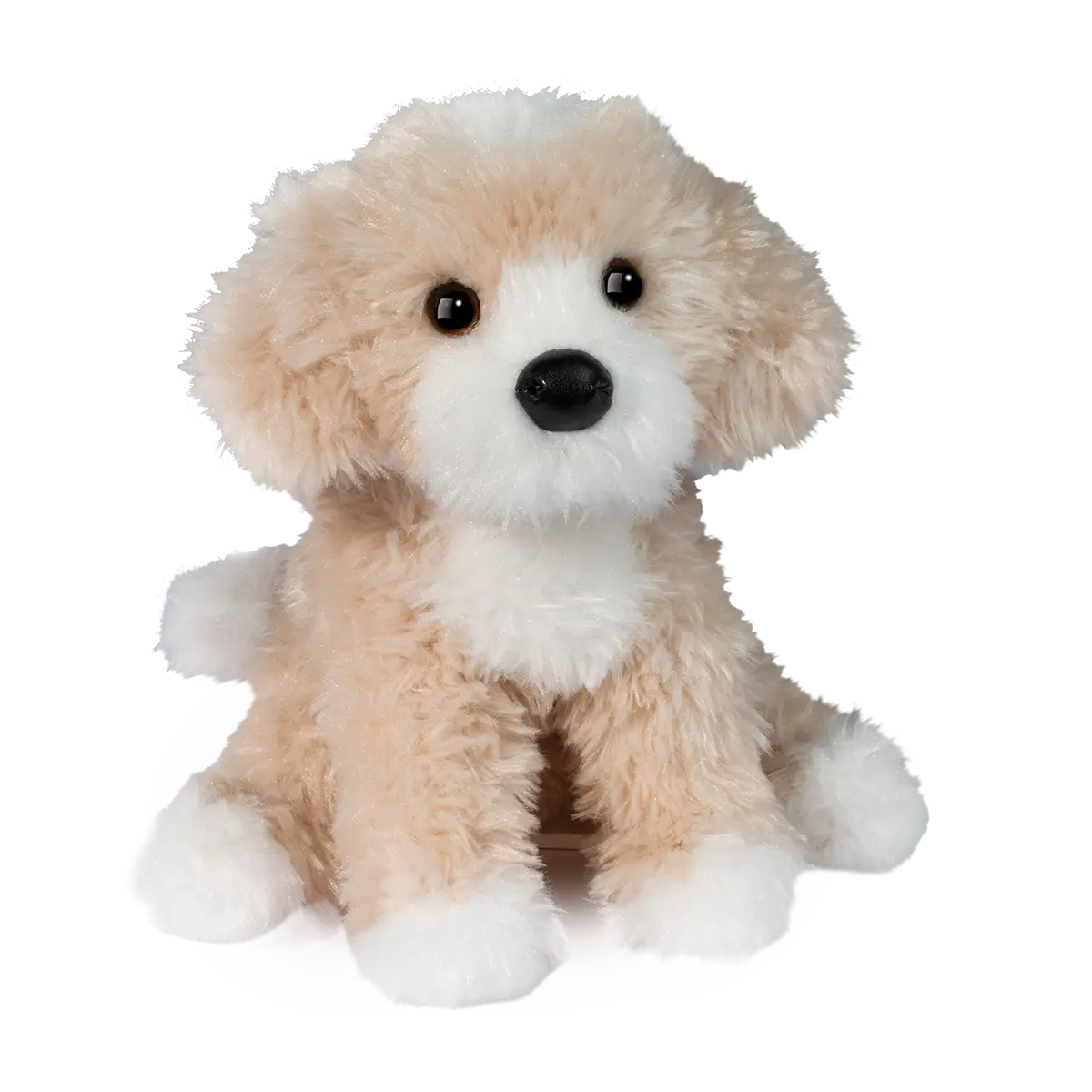 Darcy Golden Doodle