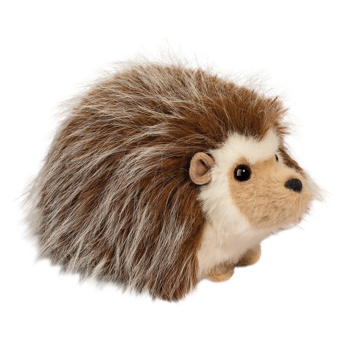 Bristle Hedgehog